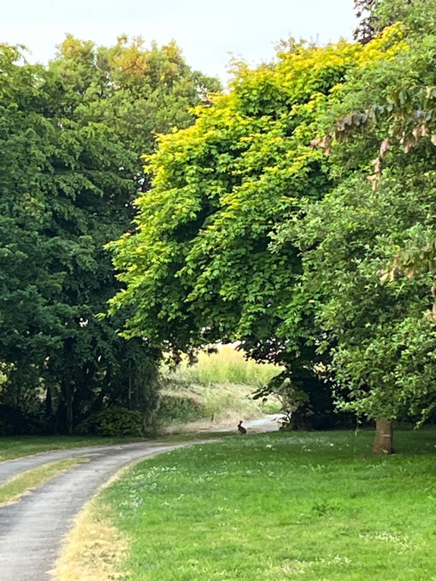 Manoir Des Bords De Rance Panzió Plouër-sur-Rance Kültér fotó