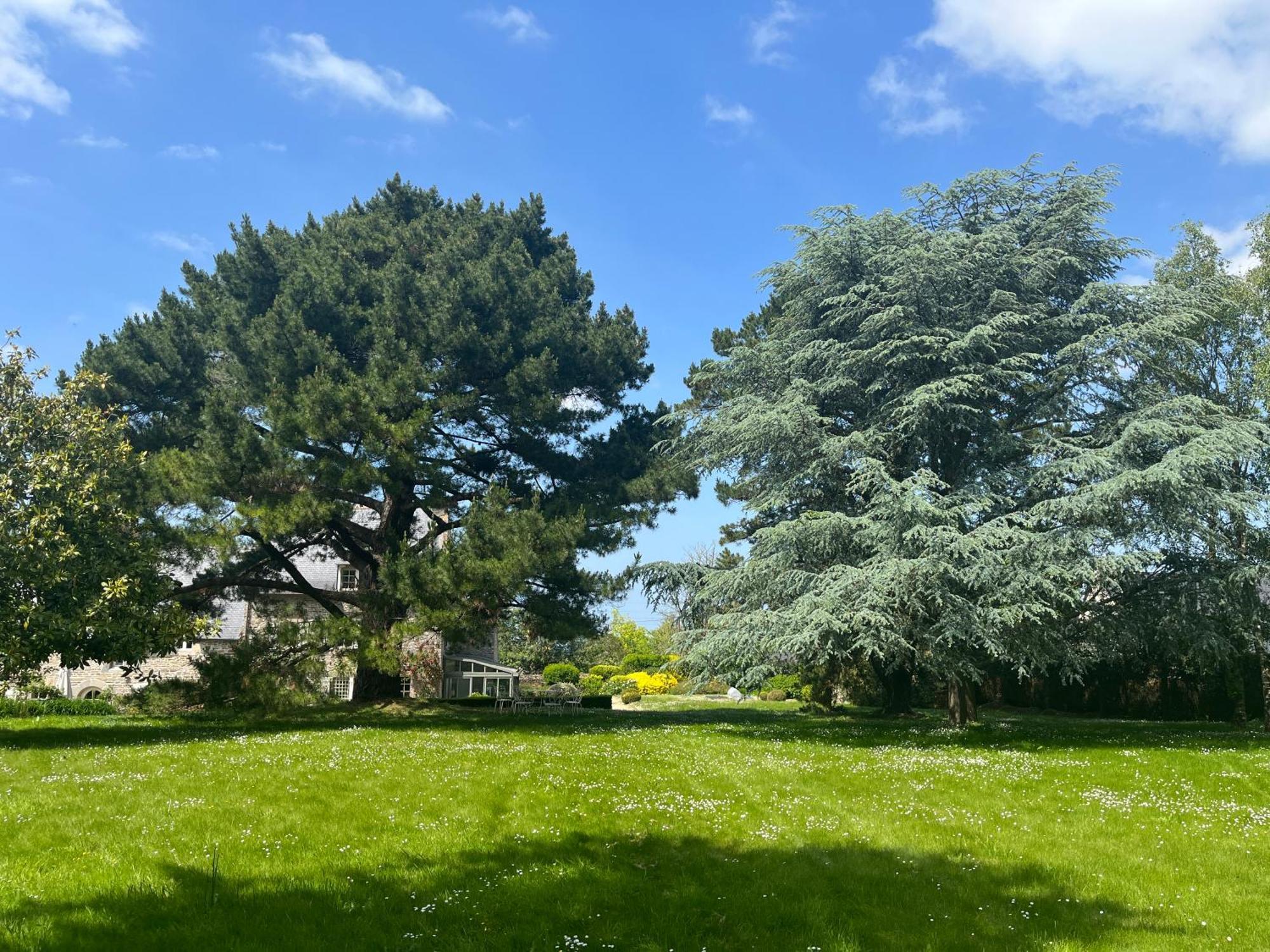 Manoir Des Bords De Rance Panzió Plouër-sur-Rance Kültér fotó
