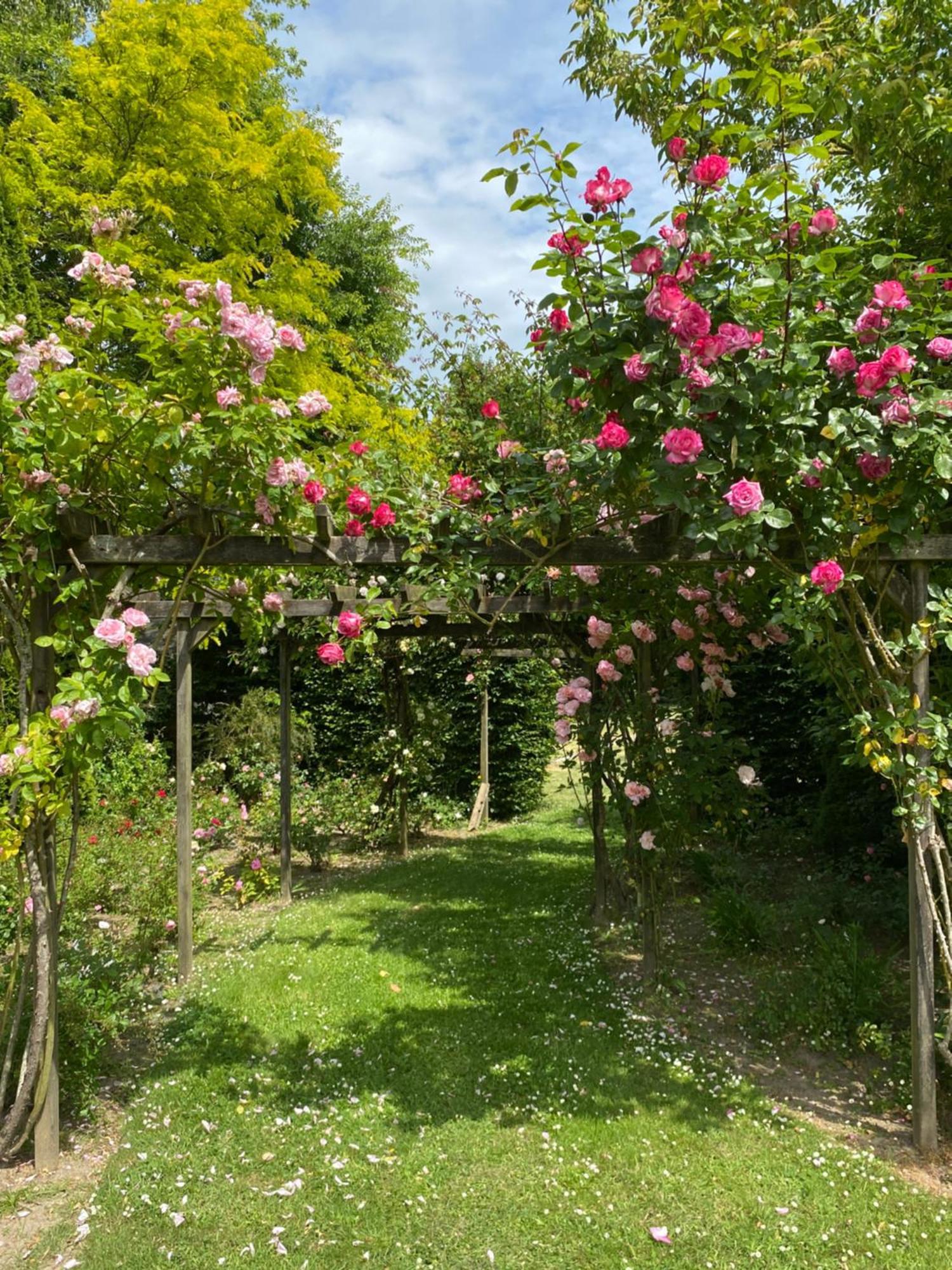 Manoir Des Bords De Rance Panzió Plouër-sur-Rance Kültér fotó