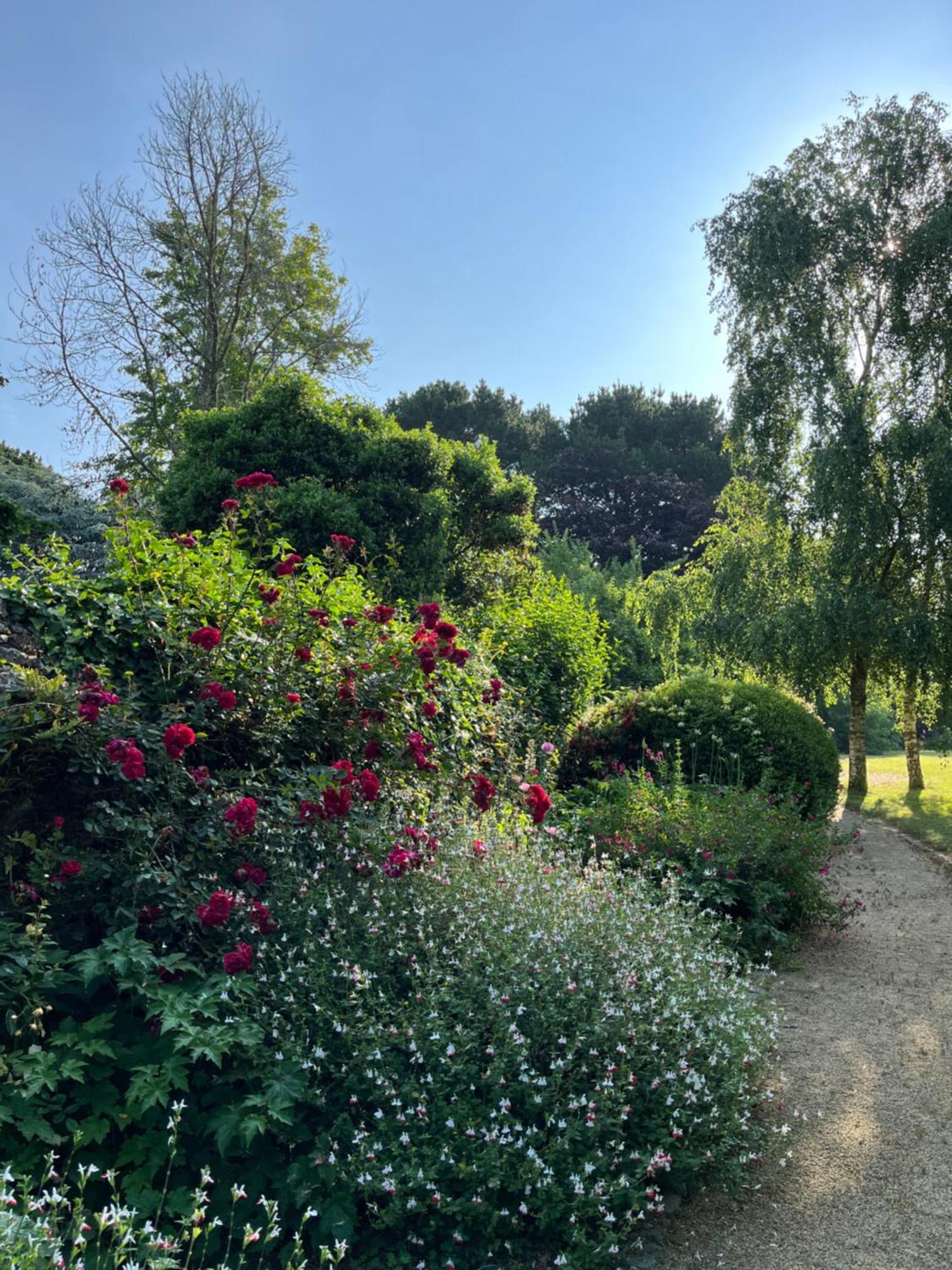 Manoir Des Bords De Rance Panzió Plouër-sur-Rance Kültér fotó